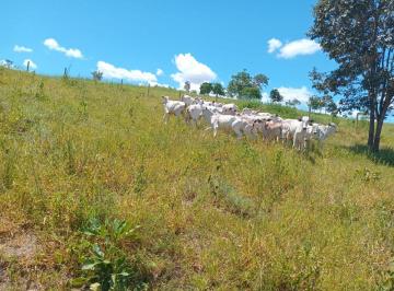 Rural de 5 quartos, Brasília · Fazenda Modelo - 48 Alqueires - 230 hectares - R$ 2 Milhões - Pecuaria