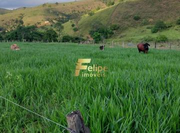 Foto 01 · EXCELENTE FAZENDA PARA PLANTAÇÃO DE CAFÉ, CACAU E GADO, ÁGUA POR GRAVIDADE, À VENDA EM ITANHÉM/BA