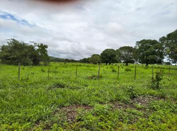 Rural , Várzea da Palma · Fazendas de terra boas e bem localizadas do grupo J.C- Santo Antônio, para serem arrendadas .