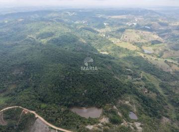 Rural de 4 quartos, Gravatá · Fazenda com 80 hectares à venda à 06 KM do centro de Gravatá/PE!