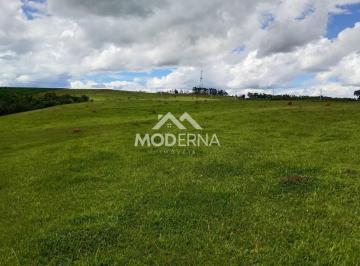 202602131539245183.jpeg · Sítio para Venda em Pardinho, Área Rural de Pardinho, 2 dormitórios, 1 banheiro