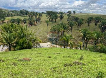 Rural · 320000m² · Fazenda na Planta em Cocalzinho: Invista no Futuro!
