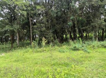 202602131539546033.jpeg · Área Rural para Venda em Colombo, Centro