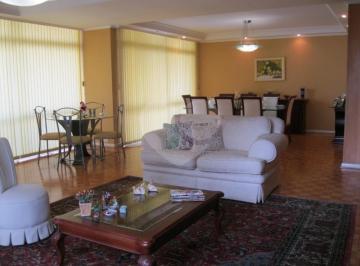 Sem Categoria · Imoveis - em Santa Cecília