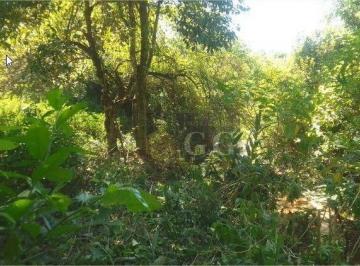 54c8d38dddcffb98f81648b193304dae3dc2c697 · Área à venda, 4000 m² por R$ 265.000,00 - Florescente - Viamão/RS
