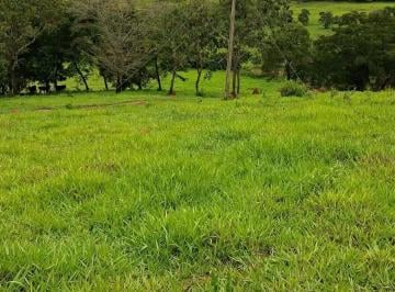 Imagem 1 · Terreno