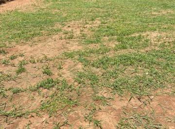 Foto 01 · Terreno, Estiva do Agudo, Bragança Paulista, SP