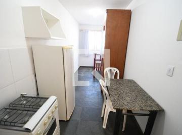 Apartamento · 30m² · 1 Quarto · Apartamento para Aluguel - Barão Geraldo - Centro, 1 Quarto,  30 m² - Campinas
