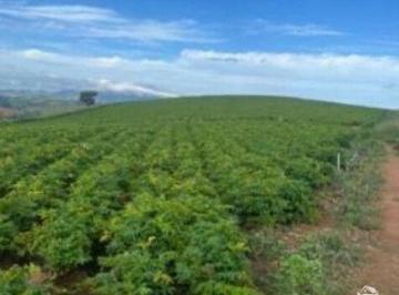 Imagem 1 · Fazenda