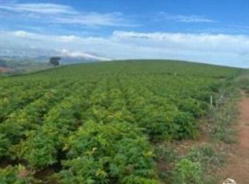 Imagem 1 · Fazenda para venda em Centro, Santa Rita de Caldas