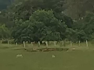 Foto 01 · Oportunidade única! Sítio à venda em Cesário Lange-SP: 24.200m² de área. Venha conferir!