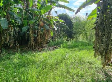 Terreno · 11553m² · Área em Santana, Cotia/SP de 0m² à venda por R$ 800.000,00