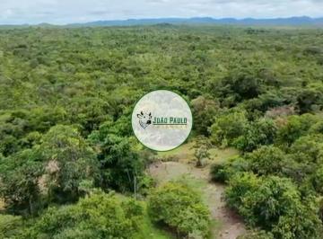 Rural , Araguapaz · Fazenda a venda em Araguapaz-GO - 4.884 Hectares - VALE DO ARAGUAIA - Fazenda Bruta