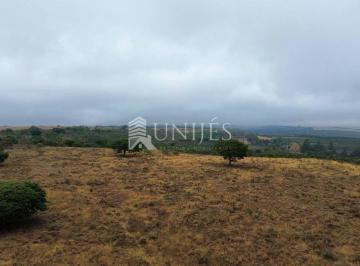 Rural · Terras com Aptidão para Venda nos Goncalves
