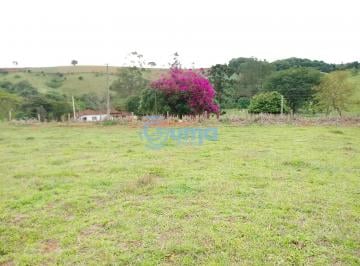 ba82ad62-b363-4d38-b64f-dd7d82b8e79c1743167507486.jpg · Terreno com 3.830M2 e excelente topografia,  à venda no bairro Passa Três em Tuiuti, SP