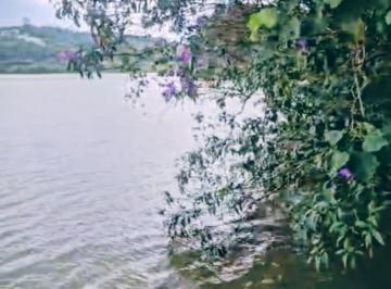 Rural de 4 quartos, Mairiporã · Chácara com Represa MAIRIPORÃ, 5000m², 35 min da Capital, acesso fácil e asfalto, vista linda...