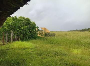 Foto 01 · Fazenda, Canavieiras, Canavieiras, BA