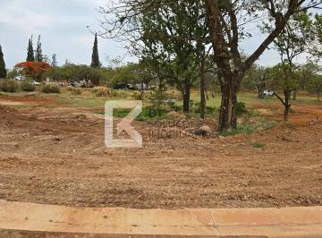 whatsapp-image-2026-02-12-at-11-55-52-21771438513005.jpeg · Imoveis - no Morro Torto
