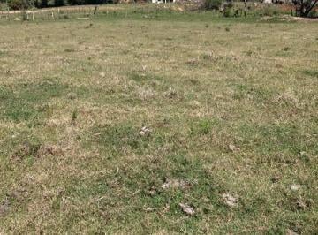45464af6157b0793516def36fb26839d752cd45e · Sítio à venda, 532400 m² por R$ 3.500.000,00 - Faisqueira - Pouso Alegre/MG