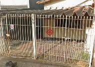 336fc3a9f633bd47375905c17be71969cf13f32e · Terreno à venda, 220 m² - Vila Metalúrgica - Santo André/SP