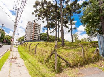 Terreno · 7231m² · Terreno à venda, 7231 m² - Campo Comprido - Curiti