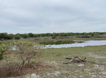 Rural en Venda de 2 quartos Centro · Fazenda Conquista 5560 hectares 500 abertos