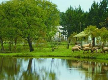 Rural · 129058m² · 3 Quartos · 11 Vagas · Belíssima Chácara em Colombo com 5,33 alqueires ou 129.058m2