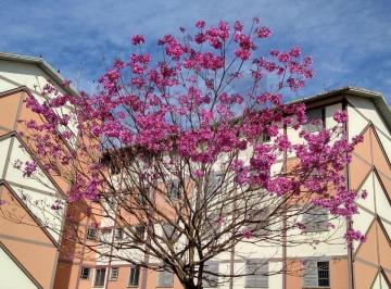 Foto 28 · Apartamento à venda em Itaquaquecetuba-SP, bairro Morro Branco: 2 quartos, 1 sala, 1 banheiro, 1 vag