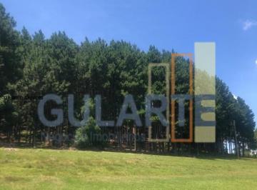 Imagem 1 · Fazenda
