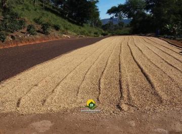 Imagem 1 · Fazenda