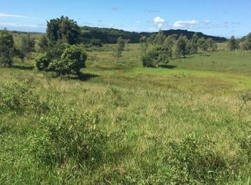 Imagem 1 · Fazenda para venda em Centro (São Vicente), Araruama