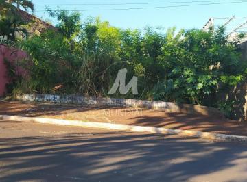Terreno/Lote · Terreno (terreno normal)