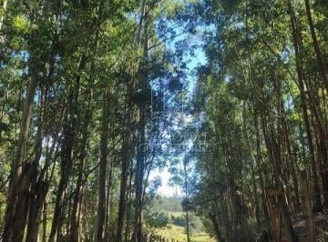Rural · 100m² · 2 Quartos · Chácara à venda, 2 quartos, 1 suíte, Anhumas - Vargem/SP
