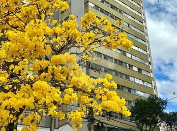 Apartamento de 2 quartos, Curitiba · Apartamento 02 dormitórios 01 suíte , 041997104652
