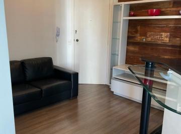 Apartamento · 43m² · 1 Quarto · 1 Vaga · Apartamento 1 Dormitório para Alugar em Vila Suzana, SP – 43m²