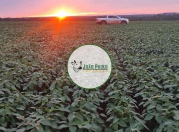 Rural Venda 13800ha · Fazenda a venda em Santa Cruz do Xingu-MT - 13.800 hectares - Podendo abrir + 1.900 há para LAVOURA