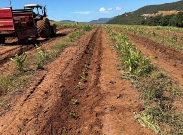 202602192323047754.jpg · Fazenda para Venda em Guapé, José Candido, 2 dormitórios, 1 banheiro, 1 vaga