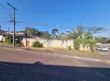 5597767e4d924a017ff662d8c923593e070011c4 · Terreno Residencial à venda, Vila Rosa, Piraquara - TE0071.