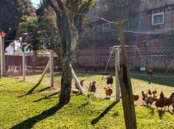 202408160205424007.jpeg · Casa 4 dormitórios ou + para Venda em São José dos Pinhais, Cruzeiro, 4 dormitórios, 2 banheiros, 4 