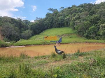 ic4nekm2otk3mjaxytrkn2nj_md · Sitio com 2 riachos e açude em Rancho Queimado- SC 3 .3 hectares...