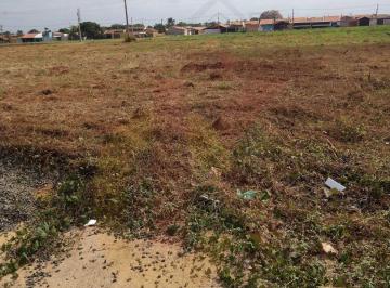 Terreno · 26200m² · Terreno para Venda em Bebedouro - TE00043