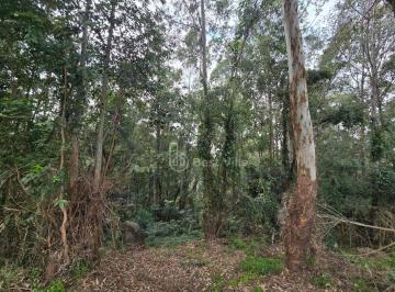 de7f3701c28cf886d6ac96be500e58d7e2825ef0 · Terreno à venda, 2916 m² por R$ 4.000.000 - Alphaville - Barueri/SP