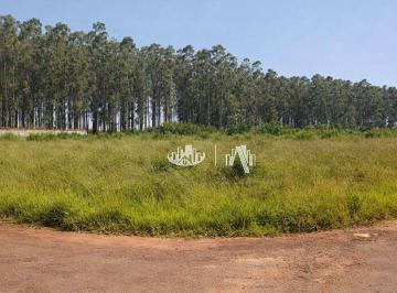 Terreno à venda, 2698 m² - Jardim Ana Elisa - Sabáudia - Paraná · Terreno à venda, 2698 m² por R$ 400.000,00 - Jardim Ana Eliza  - Sabáudia/PR