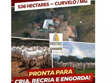 Foto 01 · Fazenda à Venda em Curvelo MG ? 536 Hectares Produtivos para Cria, Recria e Engorda com energia sola