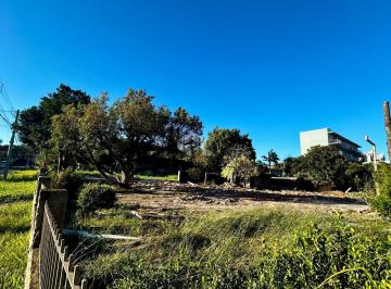 Terreno · 1192m² · Terreno Próximo a Feevale