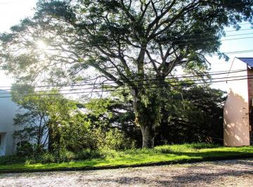 Terreno · 336m² · Terreno com 355m² no Bairro Ipanema, em Porto Alegre
