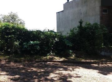 Terreno · 301m² · Terreno Setimo Ceu Tristeza