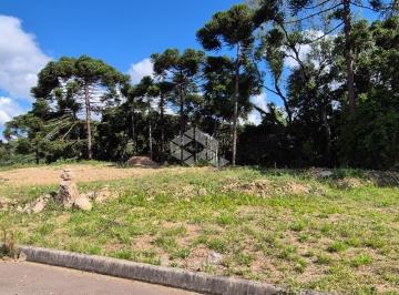 Terreno · 546m² · Terreno com 546,26m2 no Bairro São Giacomo em Caxias do Sul