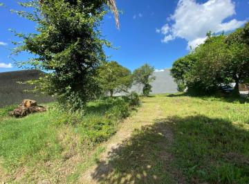 Terreno · 384m² · Terreno plano no bairro Avenida em Santa Cruz do Sul!