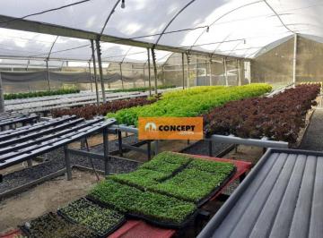 2d951e0b12da333e5737751cbf4087aab840b80f · Sítio com 2 dormitórios à venda, 24200 m² por R$ 1.200.000,00 - Serra do Itapeti - Mogi das Cruzes/S